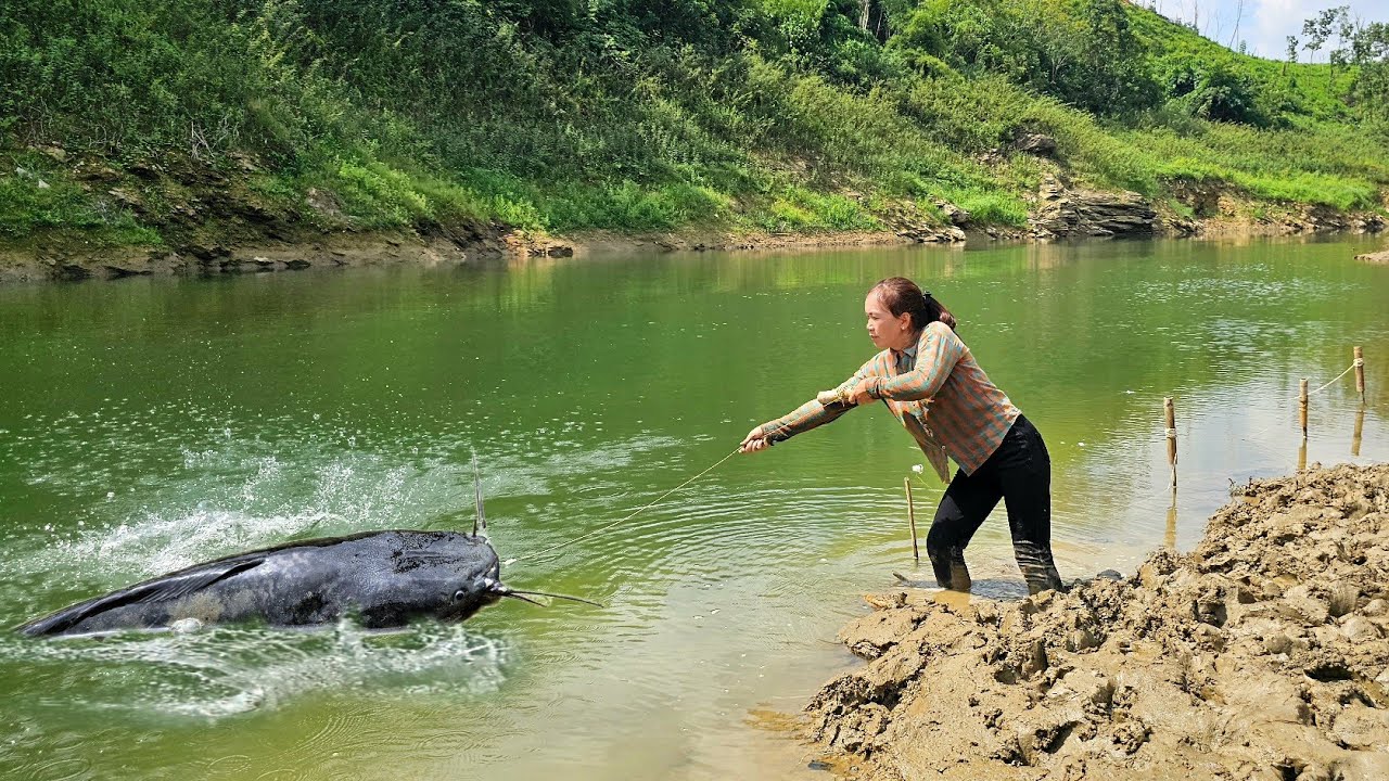 Fishing Skills - Girl Uses Traditional Fishing Techniques to Catch Giant Carp