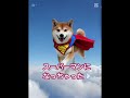 スーパーワンだよ#柴犬#柴犬ゆず#エフェクト#スーパーマン