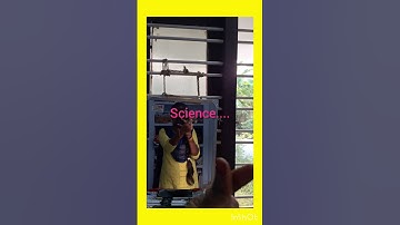 TNPSC STUDENT  after GROUP 2result #group4notification2024 /TNPSC ASPIRANT#selfstudyvlog#day 31