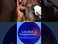 Capleton - Dubplate - Little Lion Sound - Can't Sleep At Night #littlelionsound #reggae