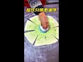 Well-structured scallion oil pancake #oil cake #Du Yi Wei oil cake #Food