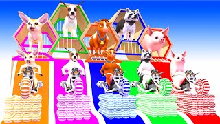 Paint Animals Cow Sheep Lion Dinosaur Ratel Bear Checken Fox Dog Cat  Paint Color #part1