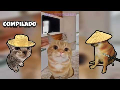 BEST SHORTS FROM THE CHANNEL COMPILATION (part 1)