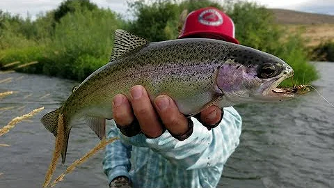 Improve Your Wade Fishing With Dry Flies // Powerh...