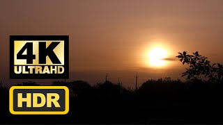 Harmonious Dawn: Sunrise Serenade with Classic Melodies | 4K UHD | HDR