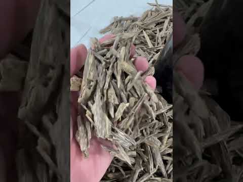 عود هندي سلا 