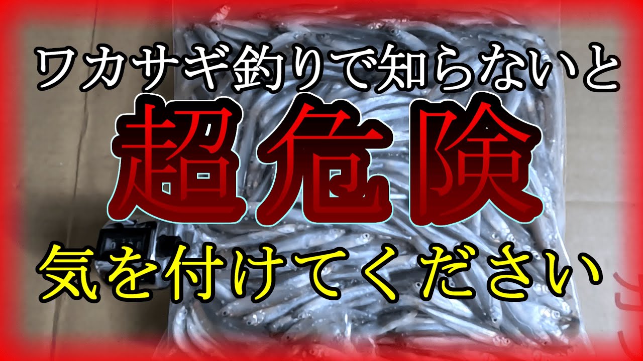 [間一髪]ワカサギ釣りに潜む危険　知らない人が多いです#ワカサギ釣り #fishing