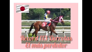 Haru Urara el Caballo más derrotado de la Historia 🏇🏇