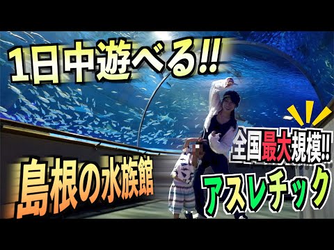 【梅雨時期でも楽しめる】２歳の息子と水族館アクアスで1日全力で遊んできた！【遊具リニューアル！】