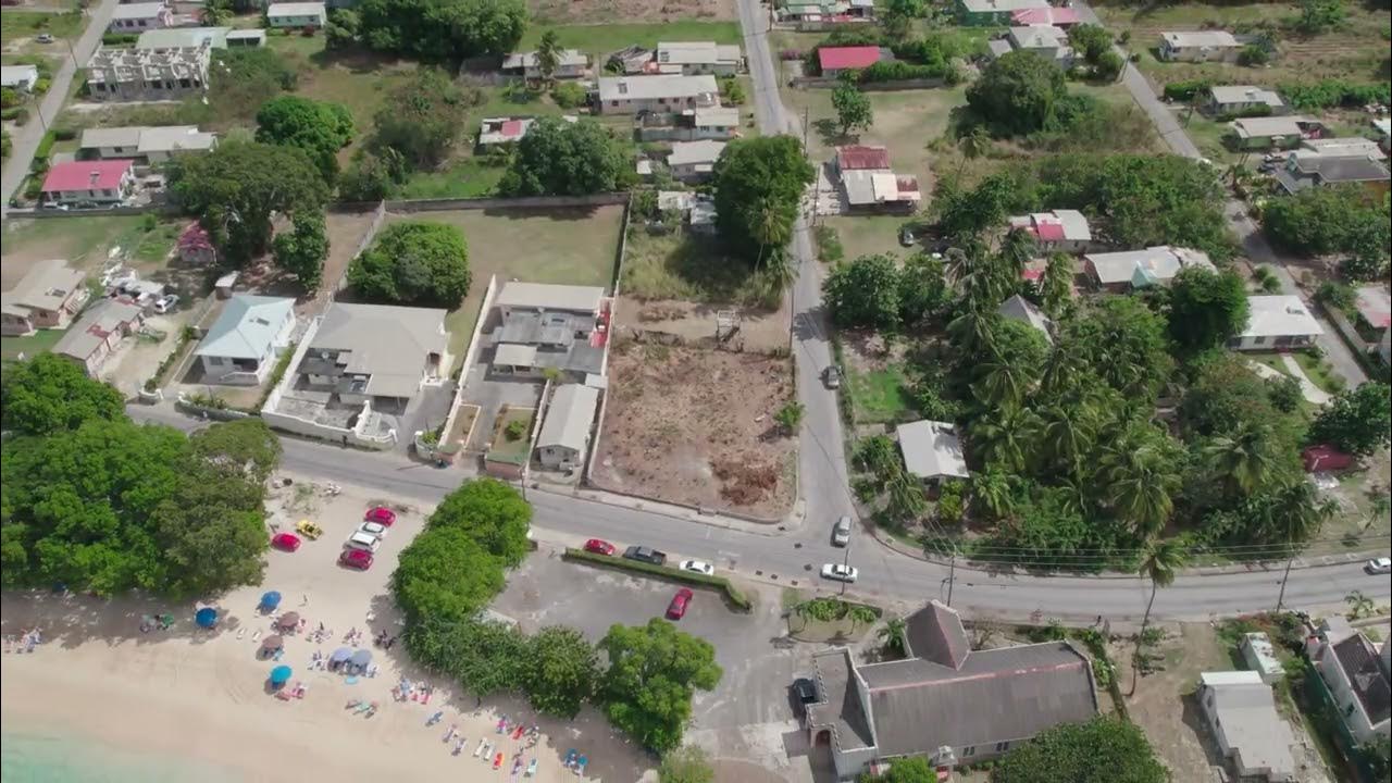 Seahorses at Reeds Bay YouTube
