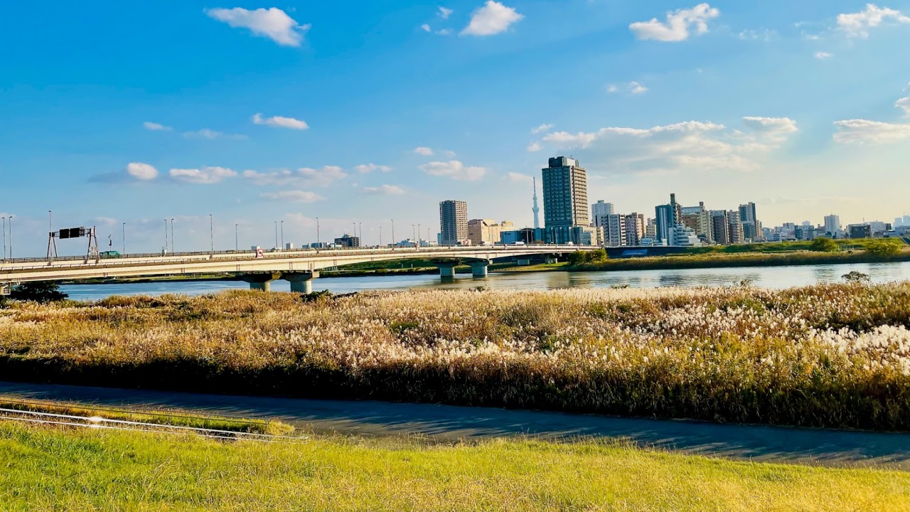 東京都足立区千住旭町ライブカメラ Tokyo Adachi Live camera.world.cam