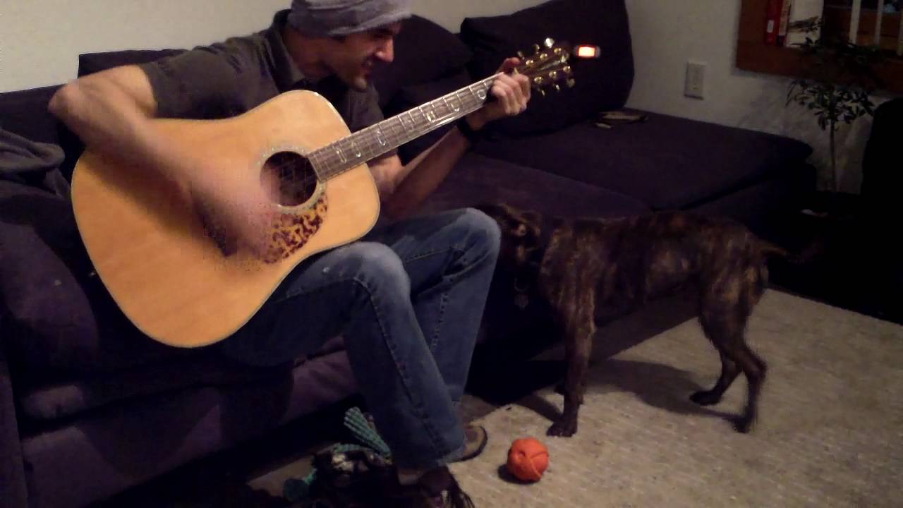 fman fucking dog in ass fman fucking dog in ass