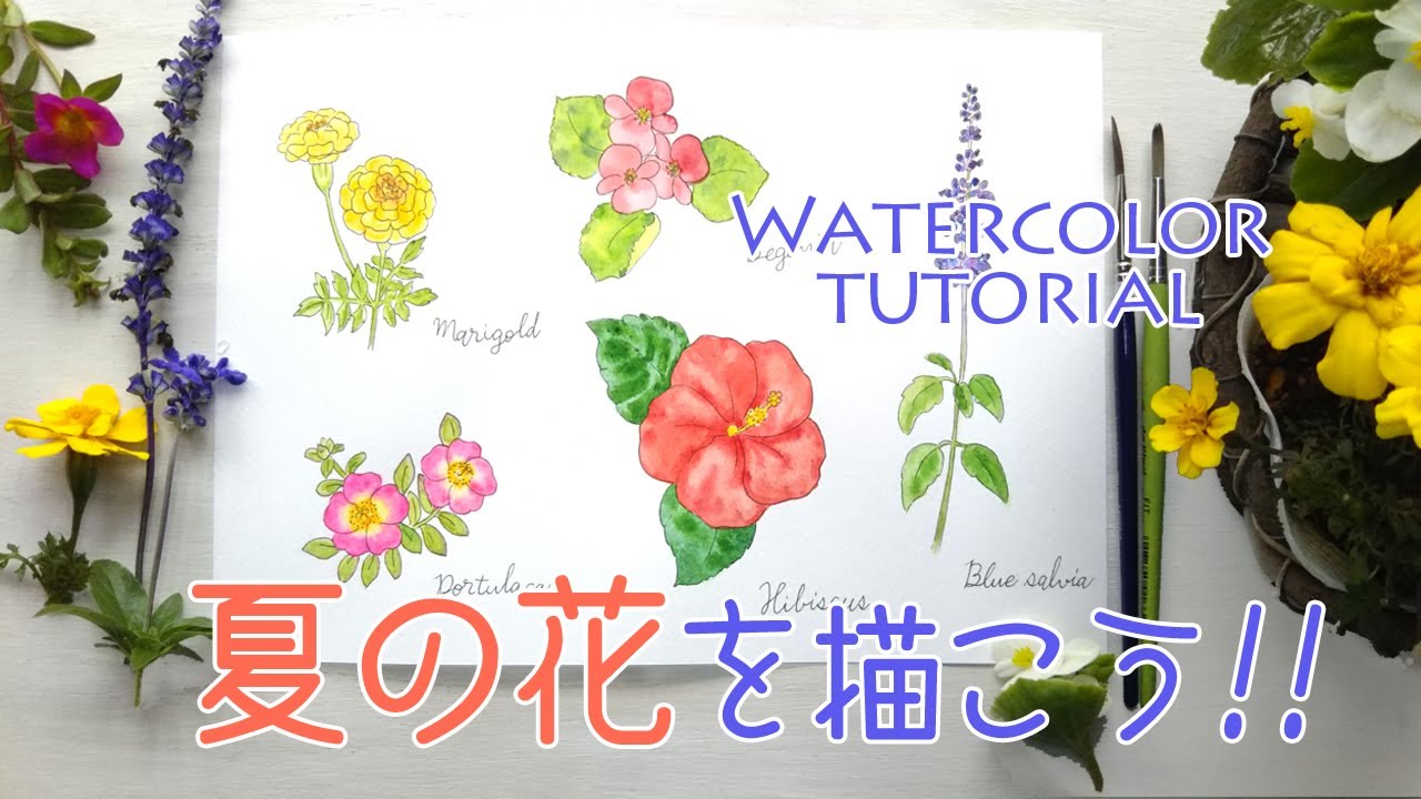 夏の花イラストの描き方 ペンと水彩 マリーゴールド ハイビスカス など５種類 How To Draw Summer Flowers Youtube