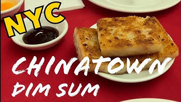 Excellent Turnip Cakes at "Dim Sum Go Go", East Broadway, Chinatown, New York City.