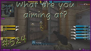 Not Even Aiming At Them? | Daily CS:GO Overwatch Case | #524