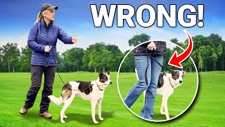 3 Dog Walking MISTAKES Most Owners Make by Shannon Walker - The Pack Leader 88 views 9 hours ago 13 minutes, 18 seconds