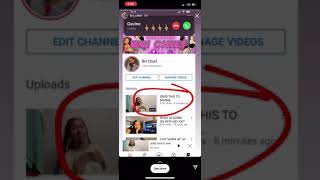 Bri Chief Throws Shots At Davine Jay Again