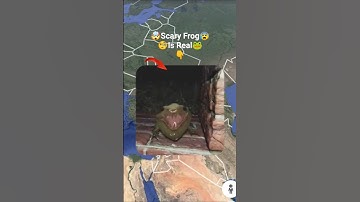 🤯😰🐸 I Found Scary Frog In Google Earth!? #shorts #trending #map #datadefender4u