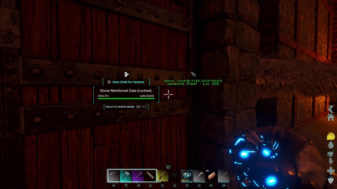 Playing Survival ascended. No mods. Hatching eggs and building bases.