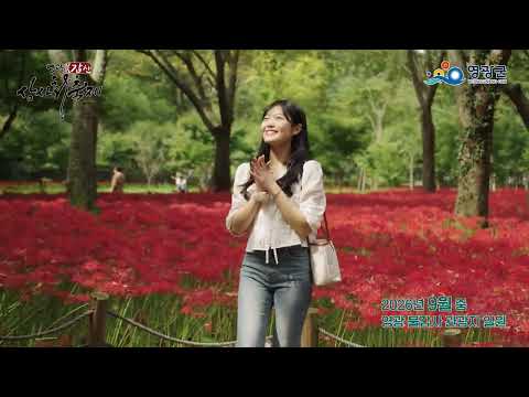 올가을은 영광 불갑산 상사화 축제로 초대합니다����