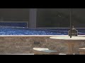 Man in jail after vandalizing eternal flame, urinating in pool at King Center