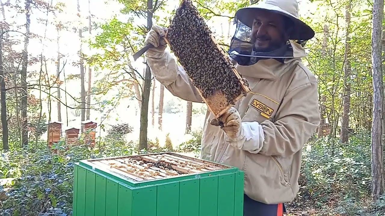 Jak plodují včely před ošetřením Varromedem, úhyn a jeho příčina + dodatek o warré