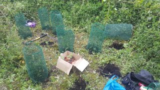 Guerrilla grow 2021 uk another late start
