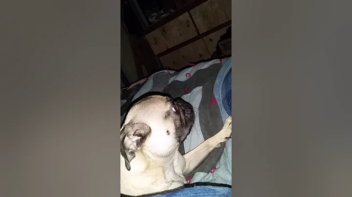 Bubba play time with dad