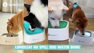 LumoLeaf 35oz/1L No Spill Dog Water Bowl: The Ultimate Spill-Proof Solution!
