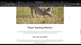 Famous La Hacks Video Submission 2021 Wealth