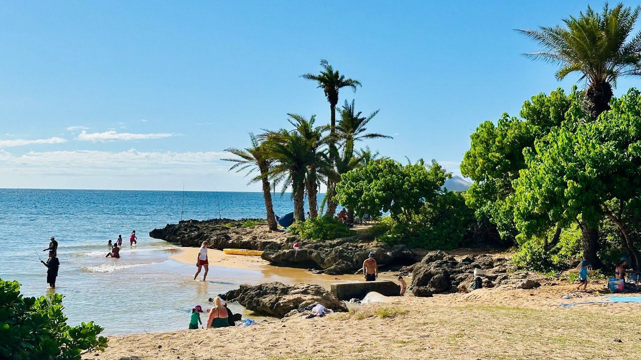 Live from Haleiwa Oahu Hawaii (Alii Beach)