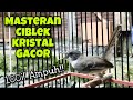 Burung Masteran Ciblek Kristal Gacor Ngotot Bikin Ciblek Paud Bahan Macet Bunyi Gacor Lagi Mp3 - Mp4 Download
