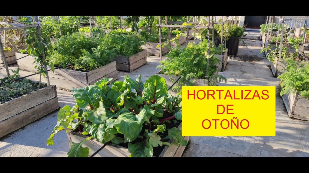 RECORRIDO POR EL HUERTO