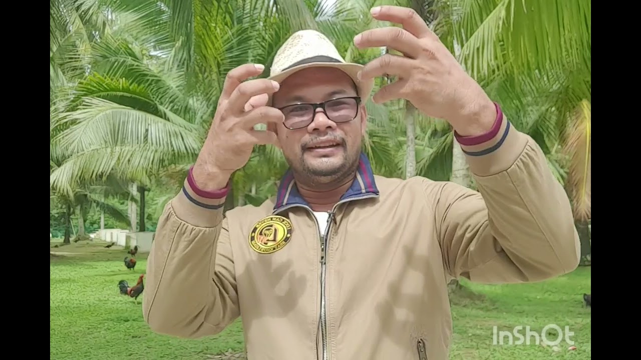 Paano tuturuan ang Stags na pumalo ng maayos