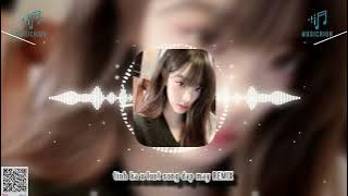 Tình Ca x Lưới Sóng Đạp Mây || Nhạc Trẻ Remix || (CUT)