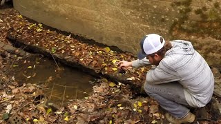 Tiny Creek Fishing II