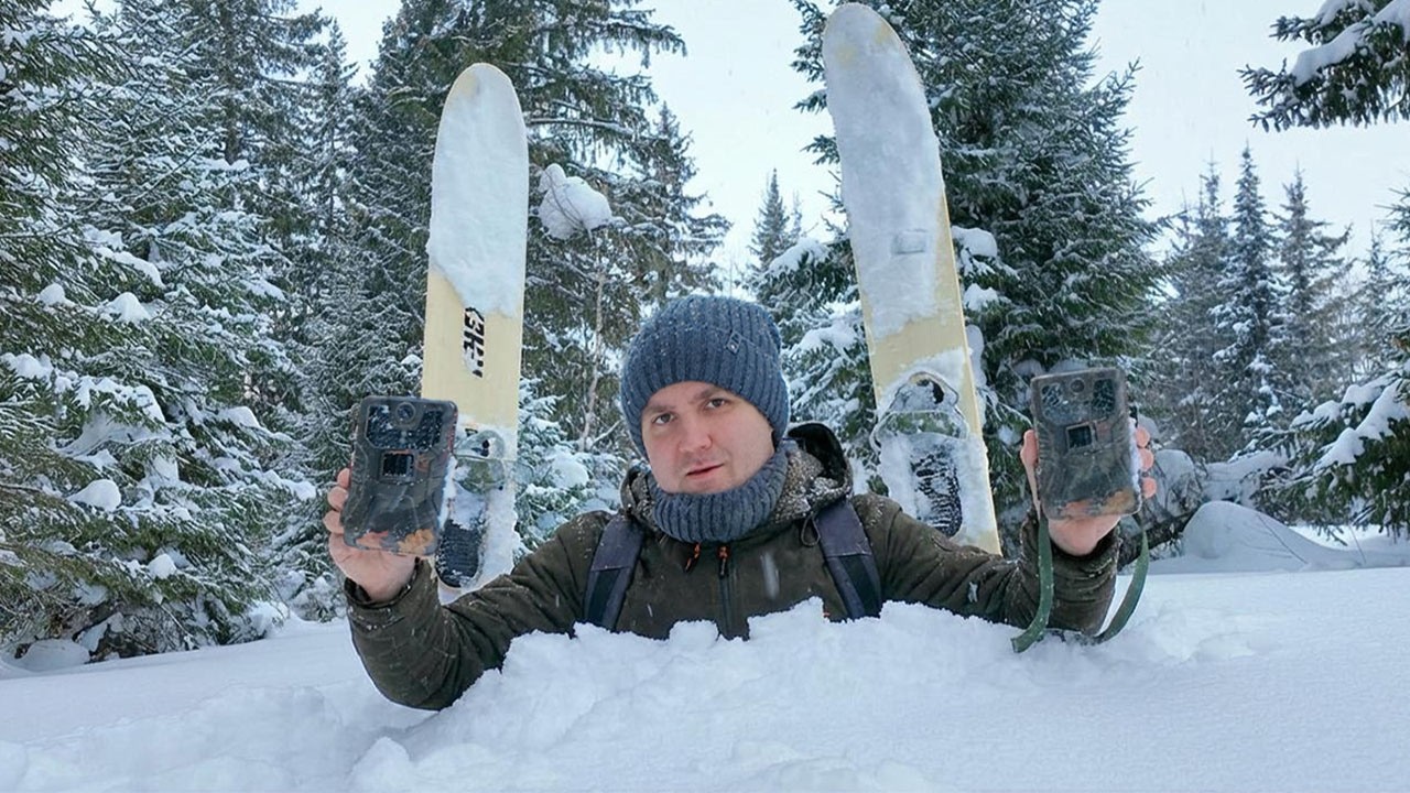 Фотоловушка стояла у леса 2 МЕСЯЦА, вот кто приходил! Поход пошел не по плану!