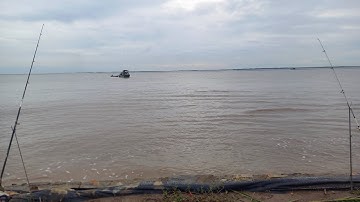 Ngày mưa đi câu cá vồ biển ở Lý Nhơn - Cần Giờ