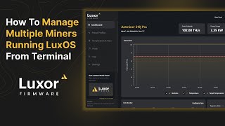 How To Manage Your ASIC Miner From Terminal With Luxor Firmware CLI screenshot 2