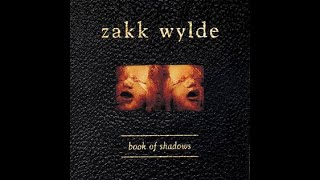 Zakk Wylde:-&#39;Too Numb To Cry&#39;