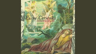 Video thumbnail of "Exene Cervenka - Sound Of Coming Down"
