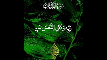 القارئ إسلام صبحي اواخر سورة النازعات تلاوة جميلة🤍🌸