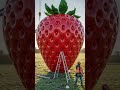 Building a full house INSIDE a giant strawberry 🍓 #diy #construction