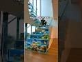 Escalier Luxueux En Aquarium D Eau Home Aquascapelowtech Interiordesign Aquascapegallery Aquarium mp3