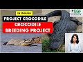 Crocodile Project l Crocodile Breeding Project l Crocodile Conservation Project l