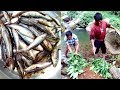 Natural Nepali fishing style || Traditional way to catch fish in Nepal