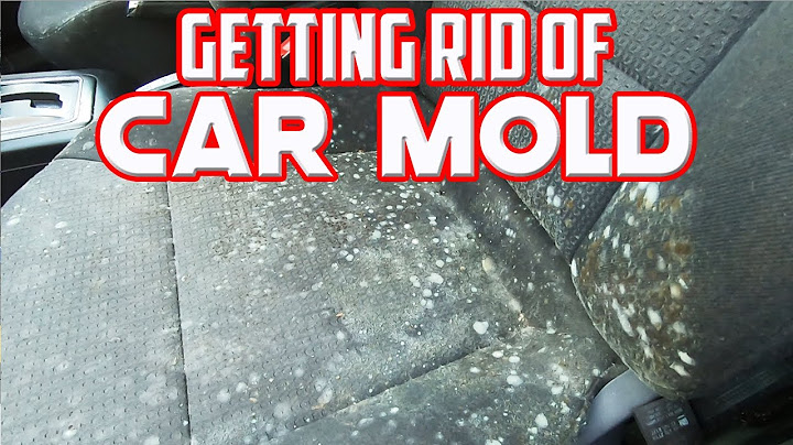 Getting Rid Of Terrible Mold In My Car With White Vinegar