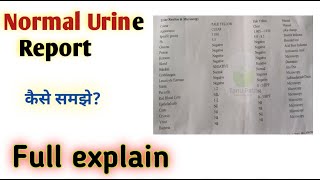 urine test report kaise dekhe | urine routine test report explain