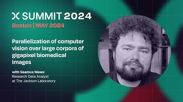 Seamus Mawe: Parallelization of computer vision over large corpora of gigapixel biomedical images