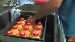 Fresh Orange Juice at Cal Poly Pomona s Farm Store